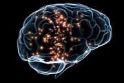 مدلسازی مغز در مراحل مختلف خواب توسط محققان دانشگاه صنعتی امیرکبیر